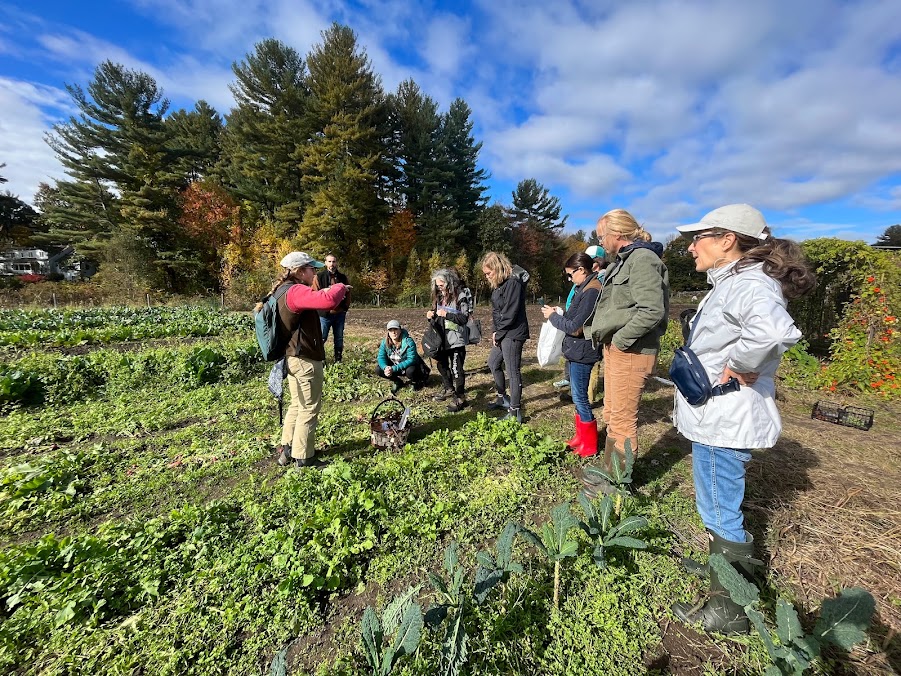 Group of people forading on Clark Farm in 2023.