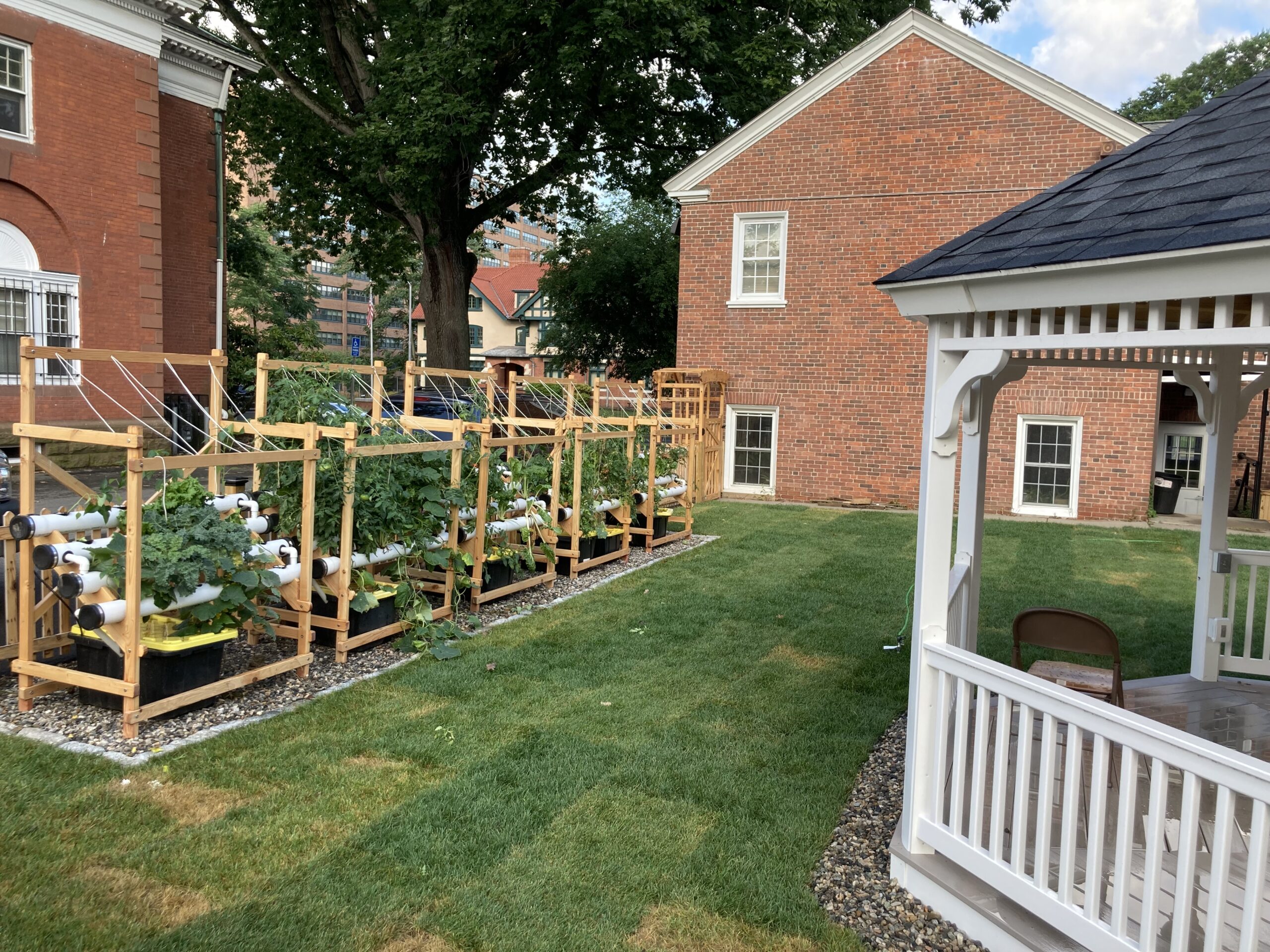 Image of hydroponics at Grace Lutheran
