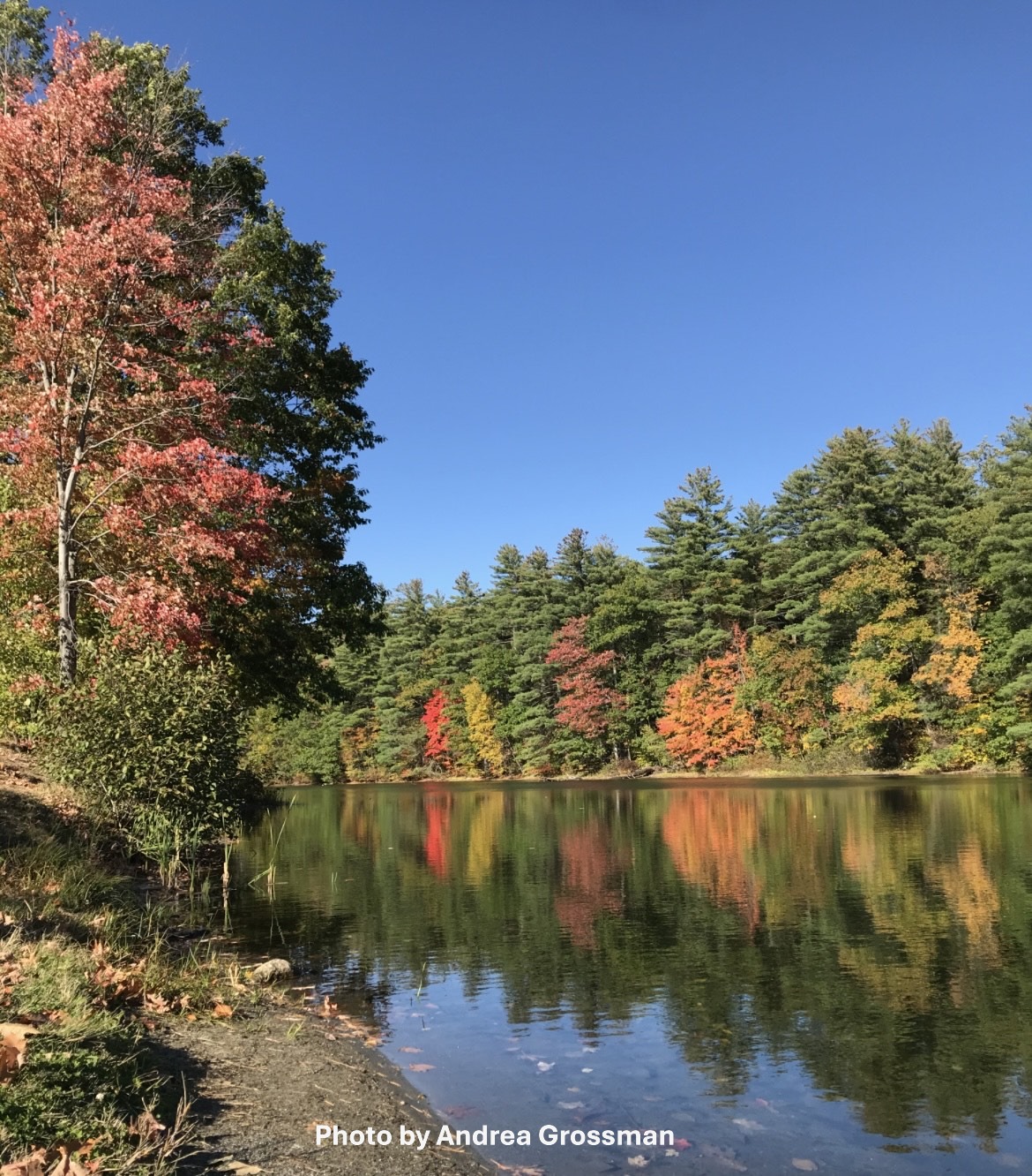 Fall landscape with water.