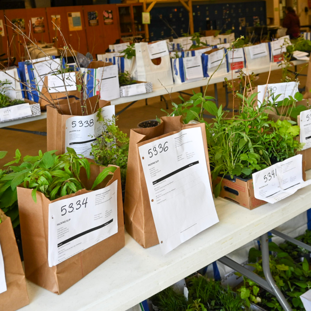 Paper bags labeled with order numbers lined up on tables as volunteers review plant orders inside a large room.