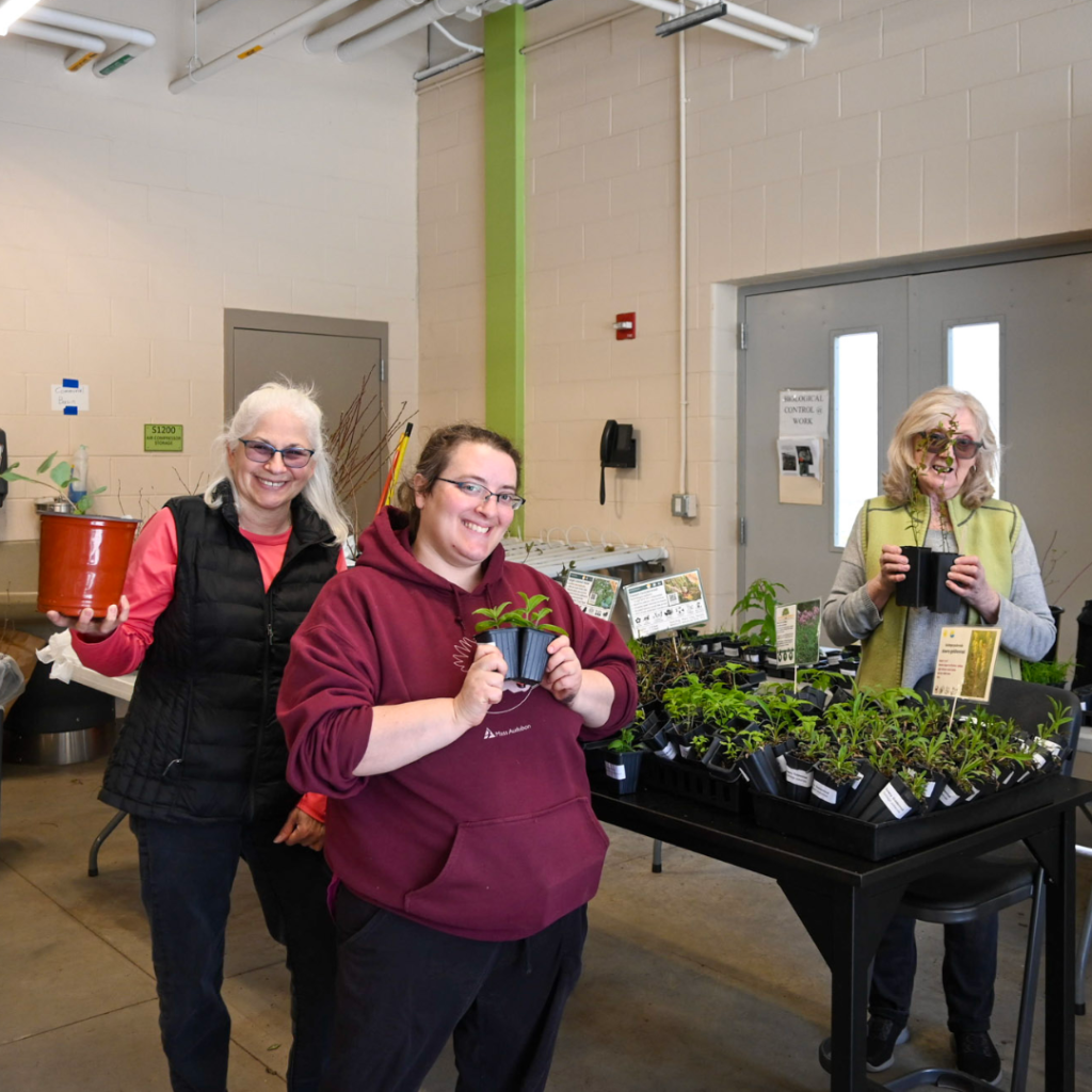 Three volunteers standing indoors hold small potted native plants near tables filled with trays of seedlings.
