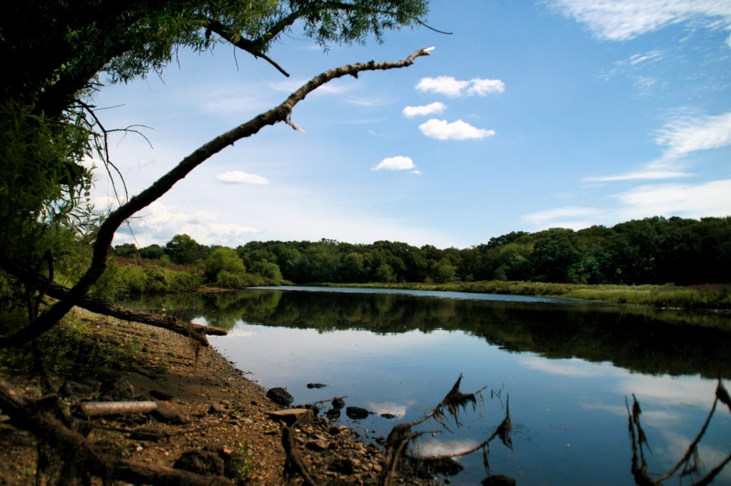 An image of a river with a blue sky