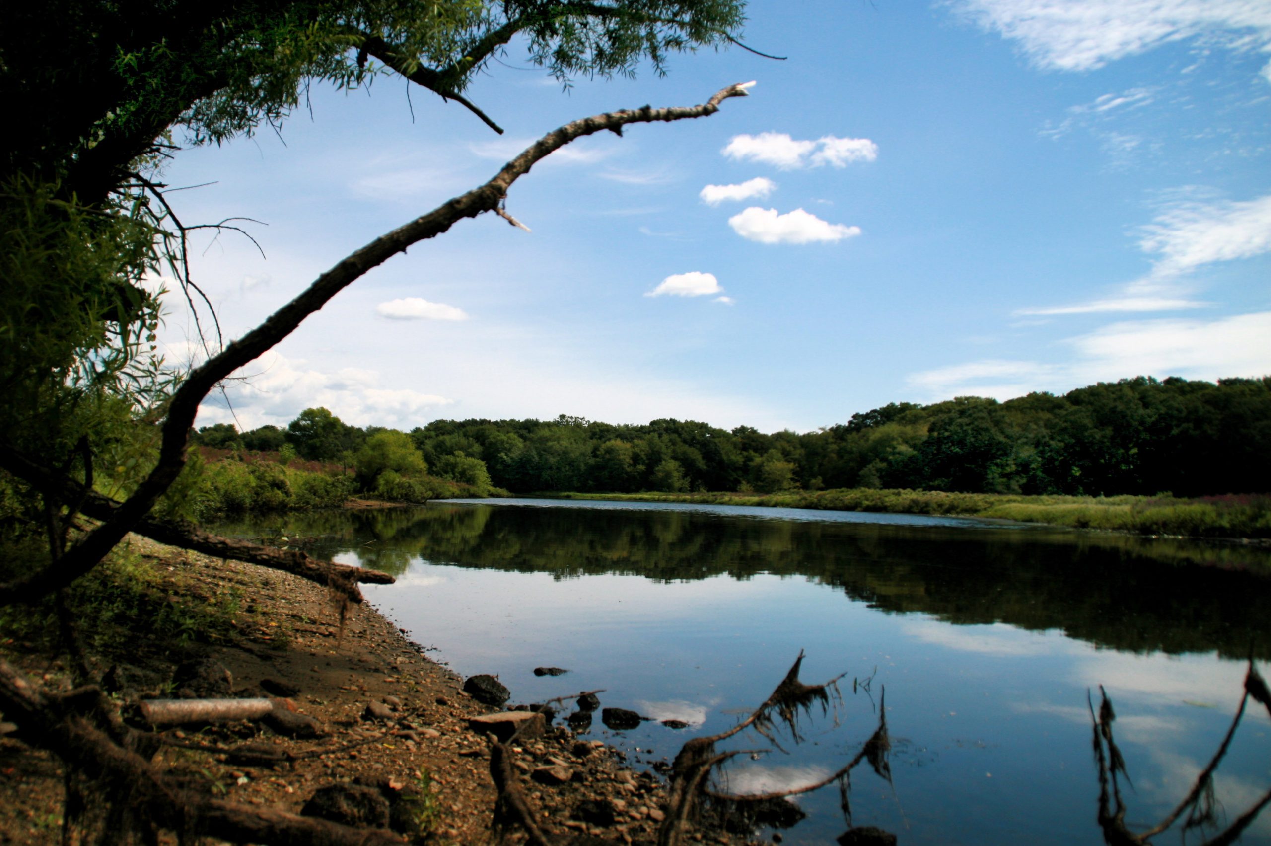 An image of a river with a blue sky